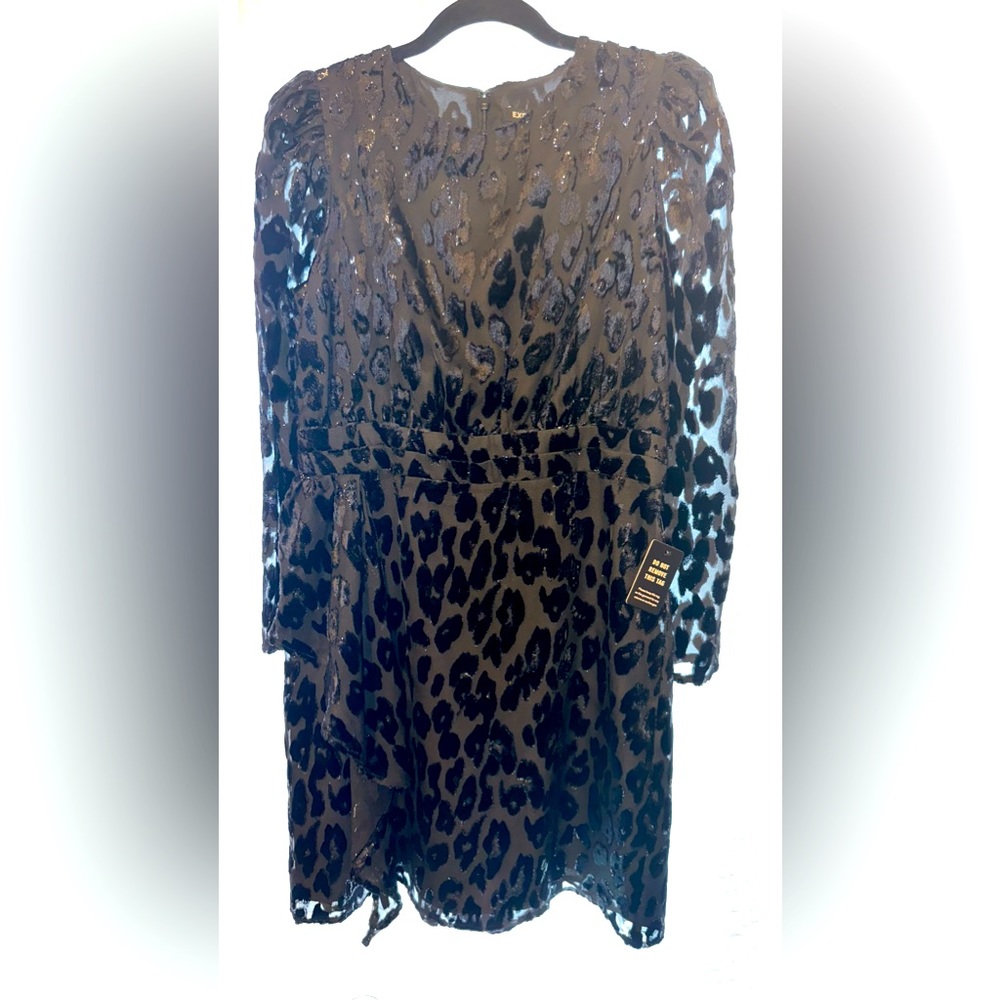 Express velvet burnout dress